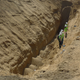 Image for article titled Bracing for the Next Big Quake With L.A.'s New City Seismologist